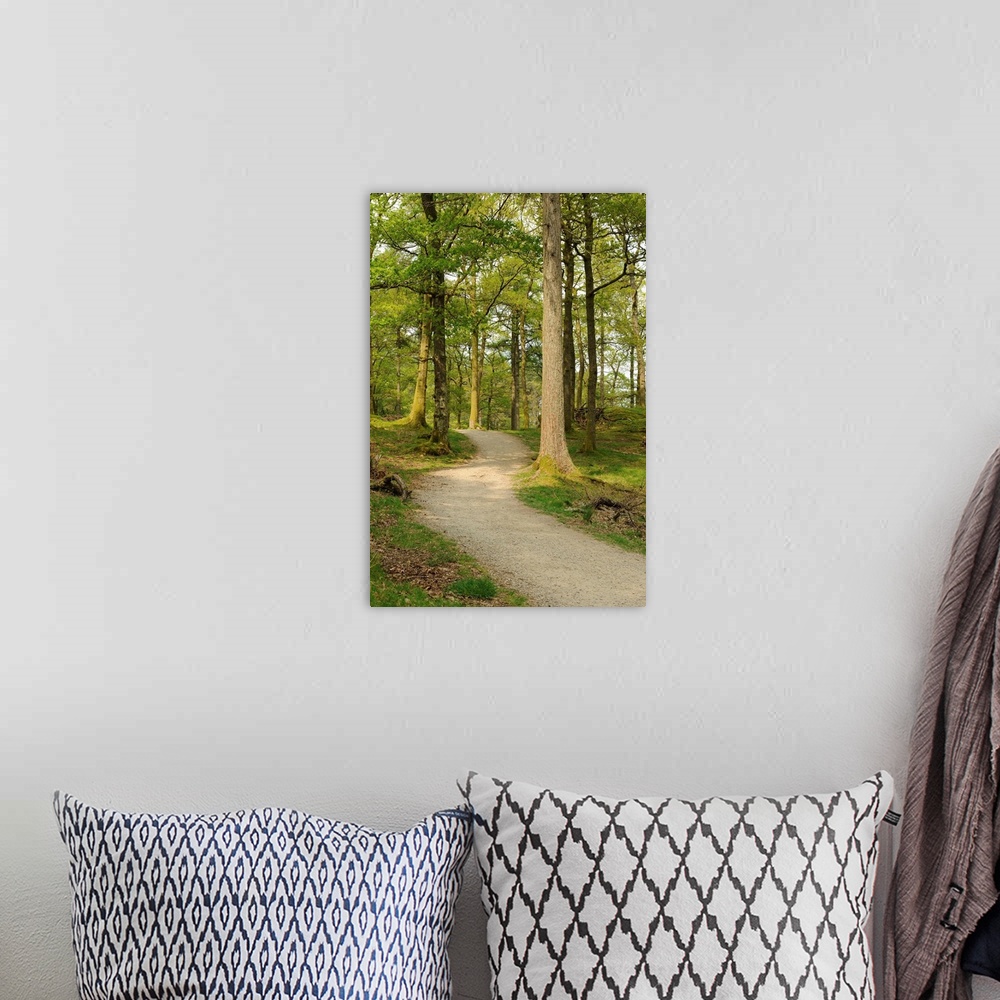 A bohemian room featuring Path through the forest trail on the banks of Derwent Water, Keswick, Lake District National Park.