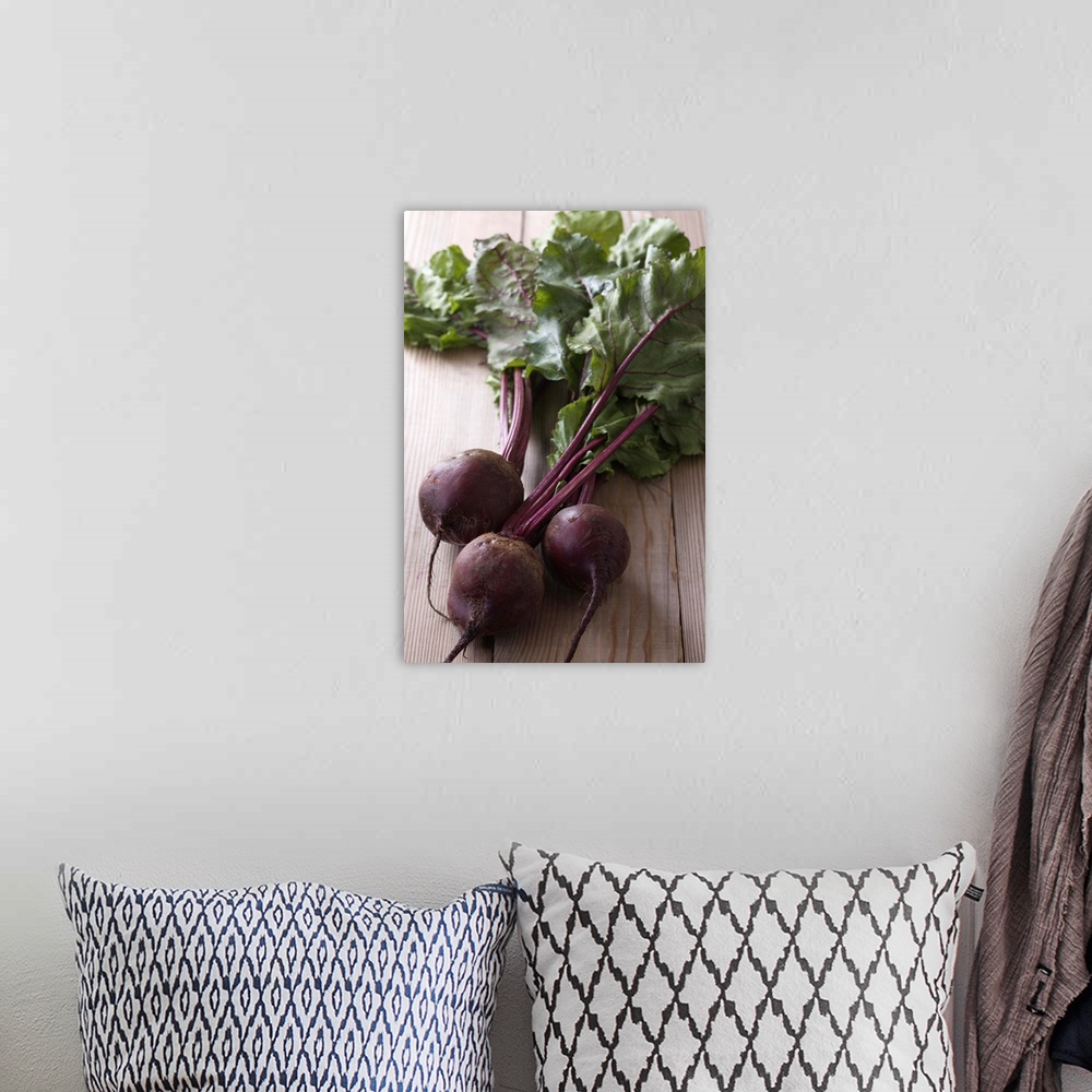 A bohemian room featuring Red Beet