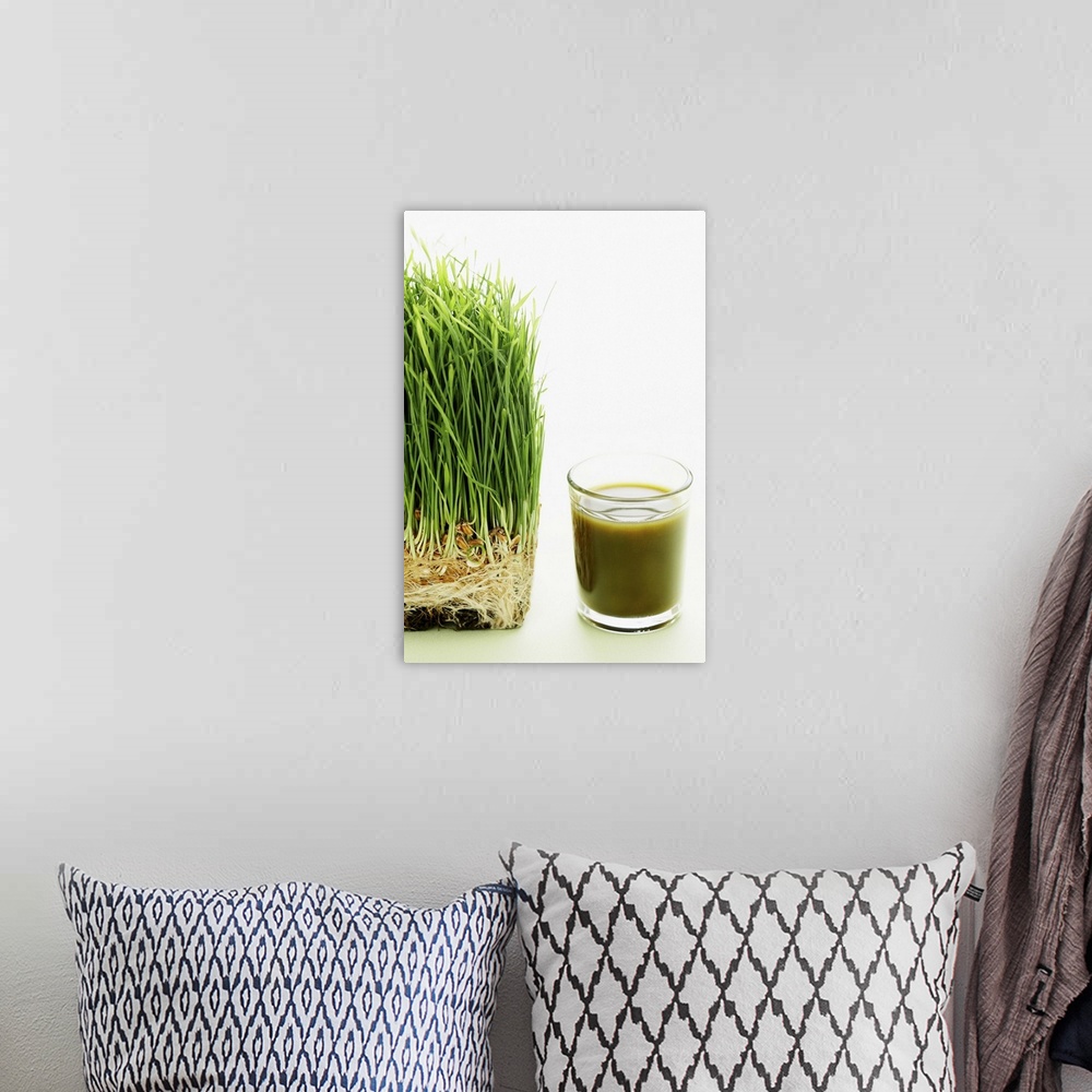 A bohemian room featuring Shot of wheat grass