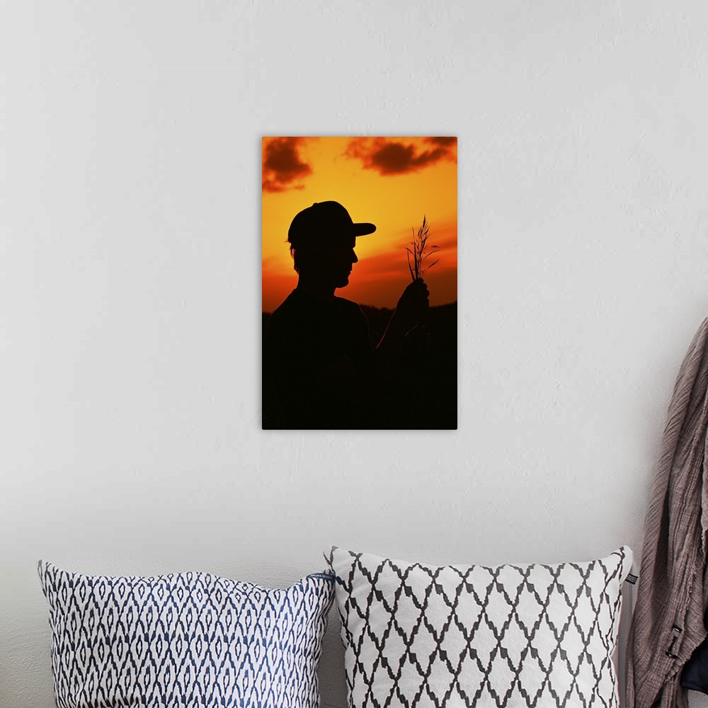 A bohemian room featuring Silhouette of farmer holding oats at sunset