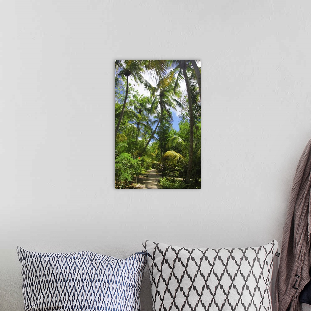 A bohemian room featuring Path in lush green palmtree garden.