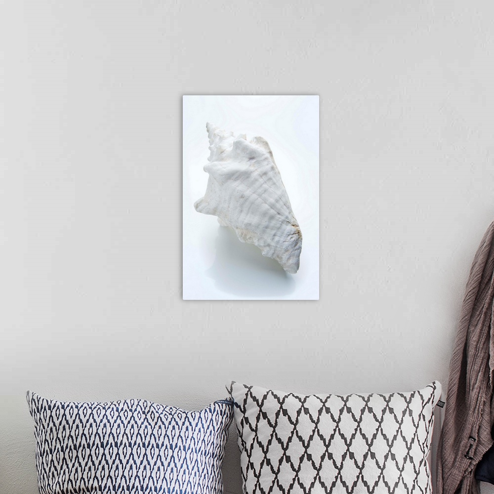 A bohemian room featuring White shell