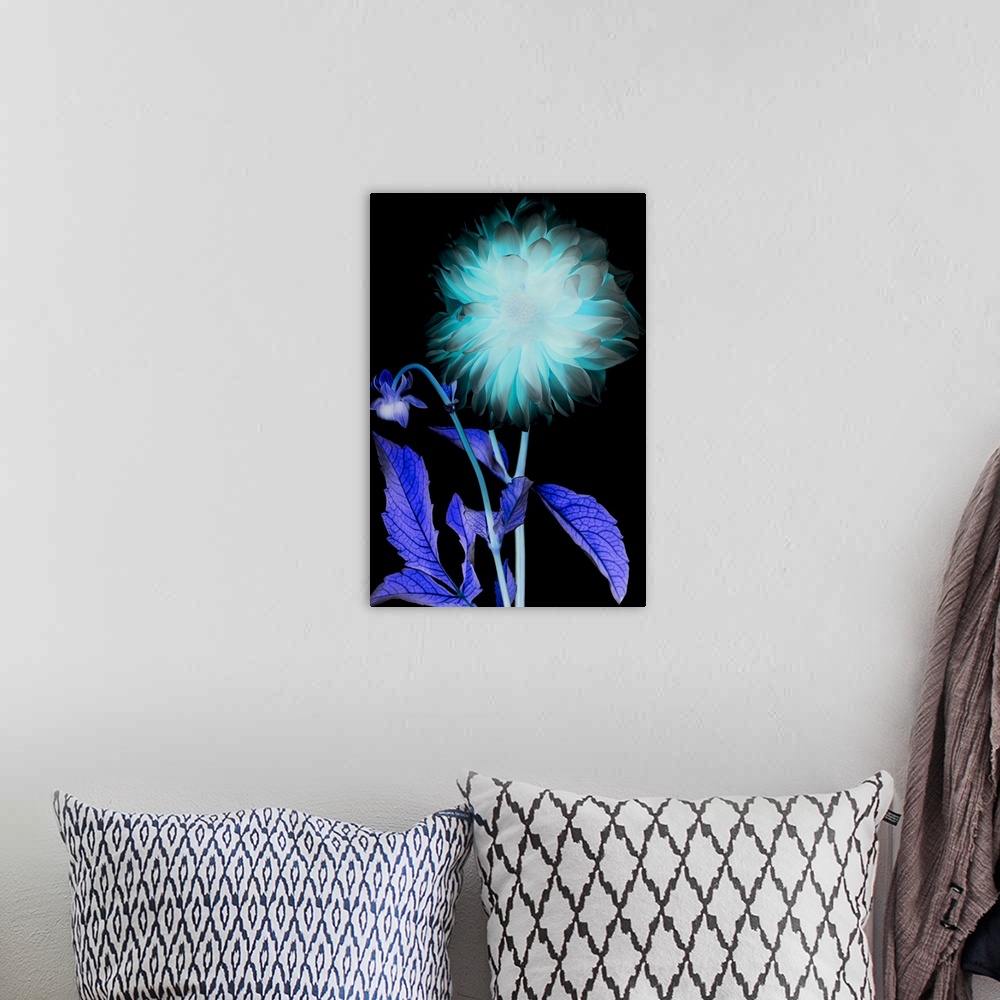 A bohemian room featuring X-ray like image of a flower