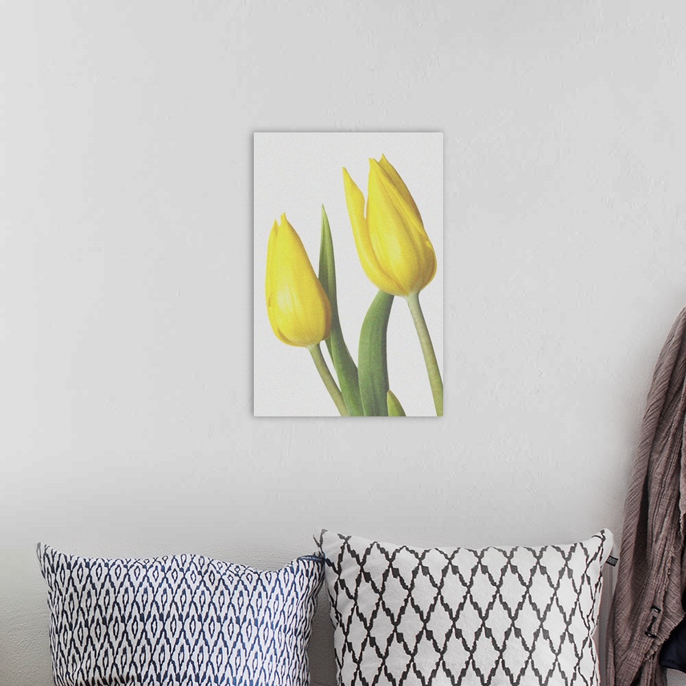 A bohemian room featuring Yellow tulips