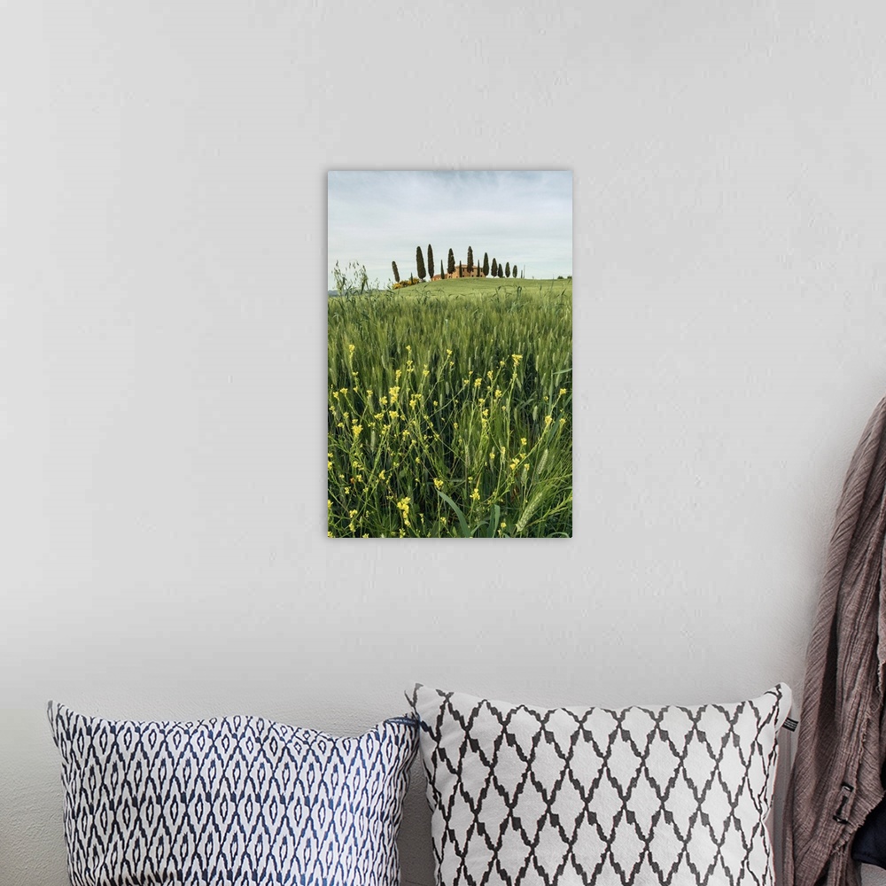 A bohemian room featuring Countryhouse near Pienza during a cloudy sunset in spring, Val d'Orcia, Tuscany, Italy