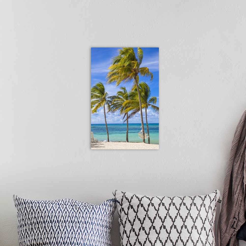 A bohemian room featuring Cuba, Holguin Province, Hammock between palm trees on Playa Guardalvaca.