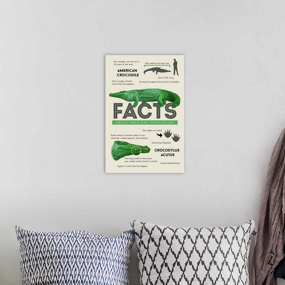 A bohemian room featuring Facts About American Crocodiles