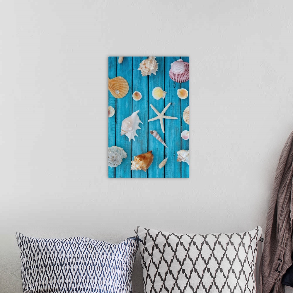 A bohemian room featuring Seashells On Blue Wood