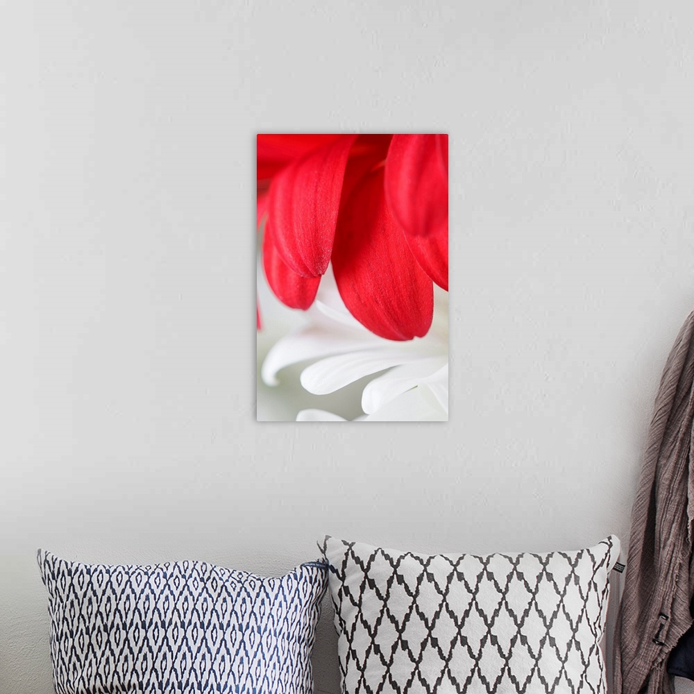 A bohemian room featuring Large, vertical wall hanging that is a macro photograph of flower petals.