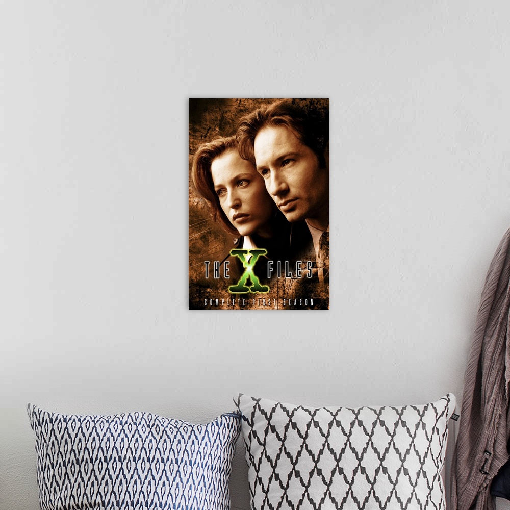 A bohemian room featuring X Files, The (TV) (1993)