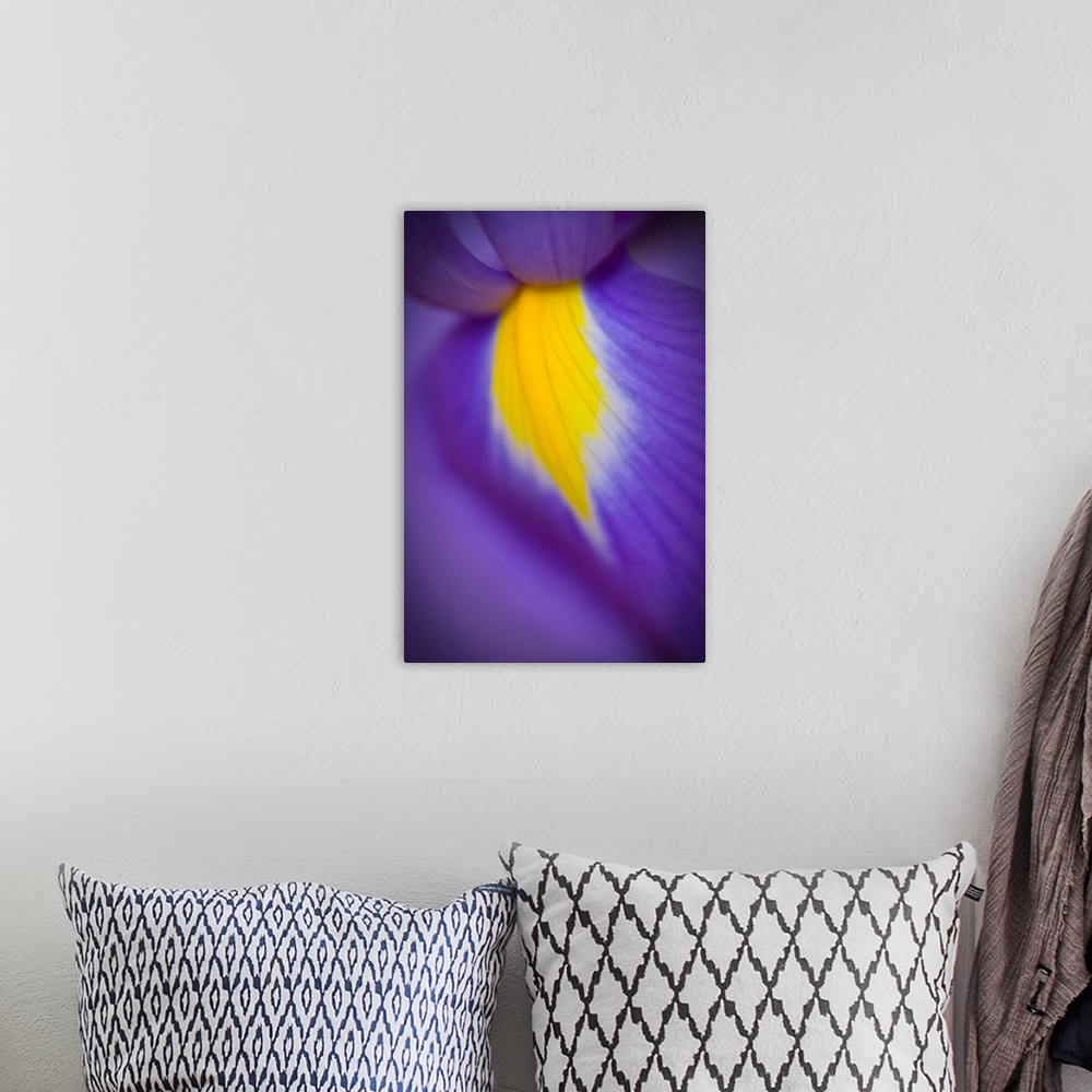 A bohemian room featuring A close-up of a deep purple iris with a yellow flash.