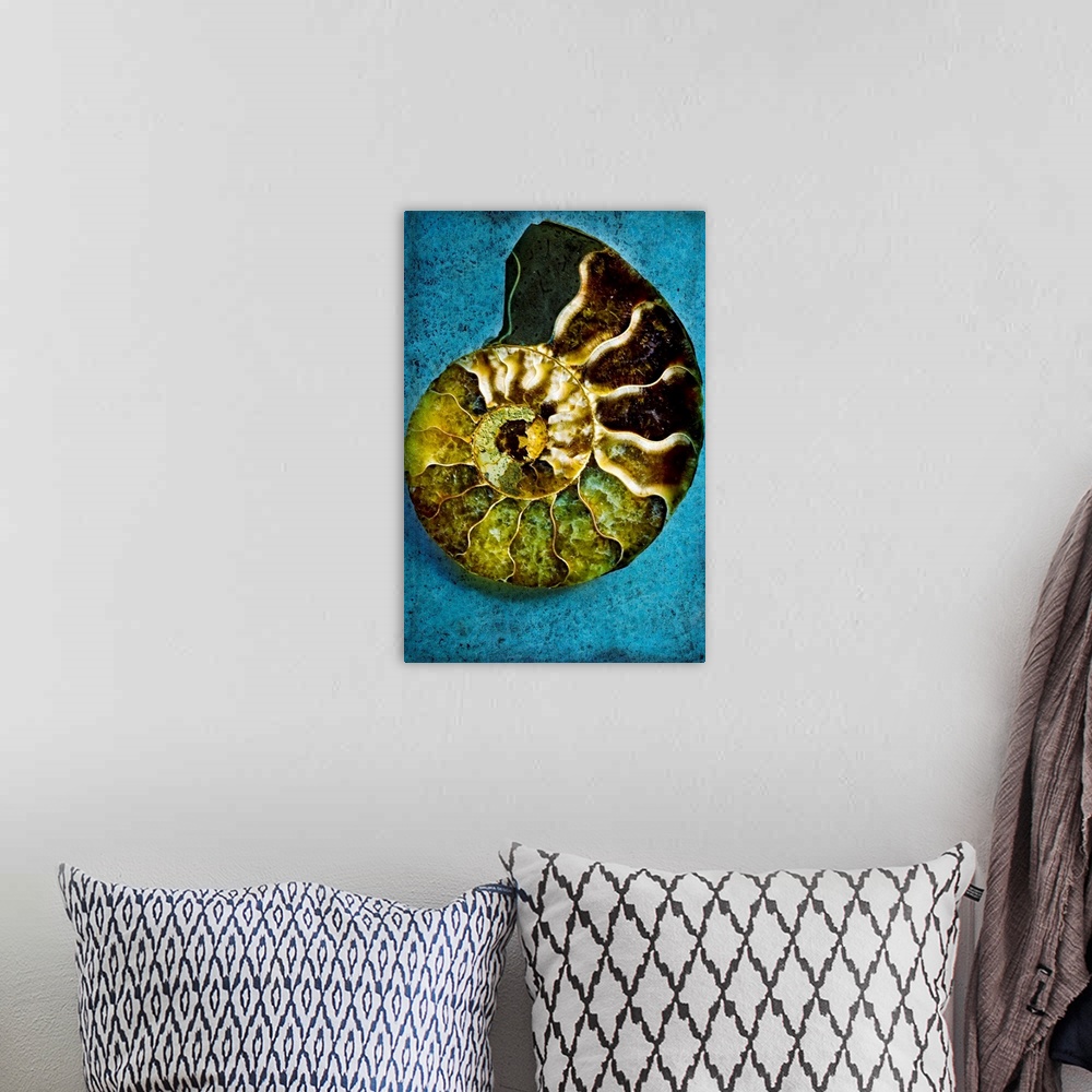 A bohemian room featuring Decorative wall art for the home, office, or beach house this vertical photograph of a nautiluses...