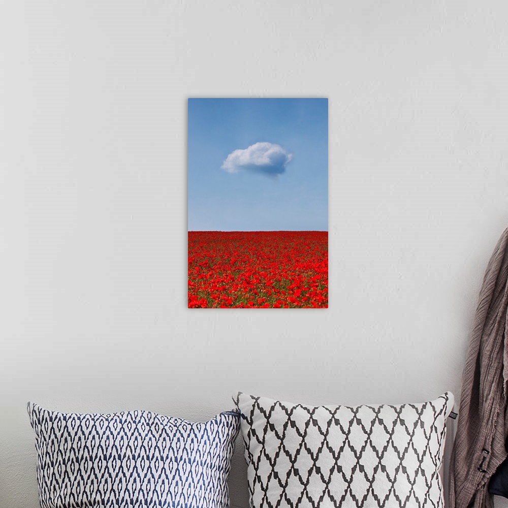 A bohemian room featuring A lone white fluffy cloud above a sea of deep crimson red poppies in a field beneath a blue sky.