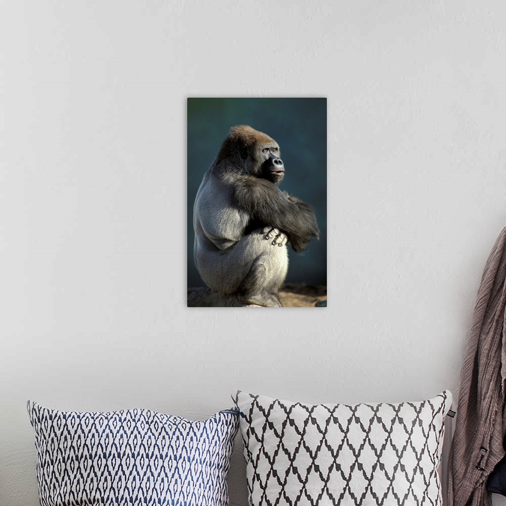 A bohemian room featuring Gorilla Sitting on a Tree Trunk