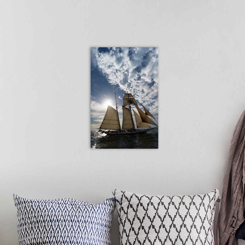 A bohemian room featuring Tall ship in the Pacific Ocean, Dana Point Harbor, Dana Point, Orange County, California, USA