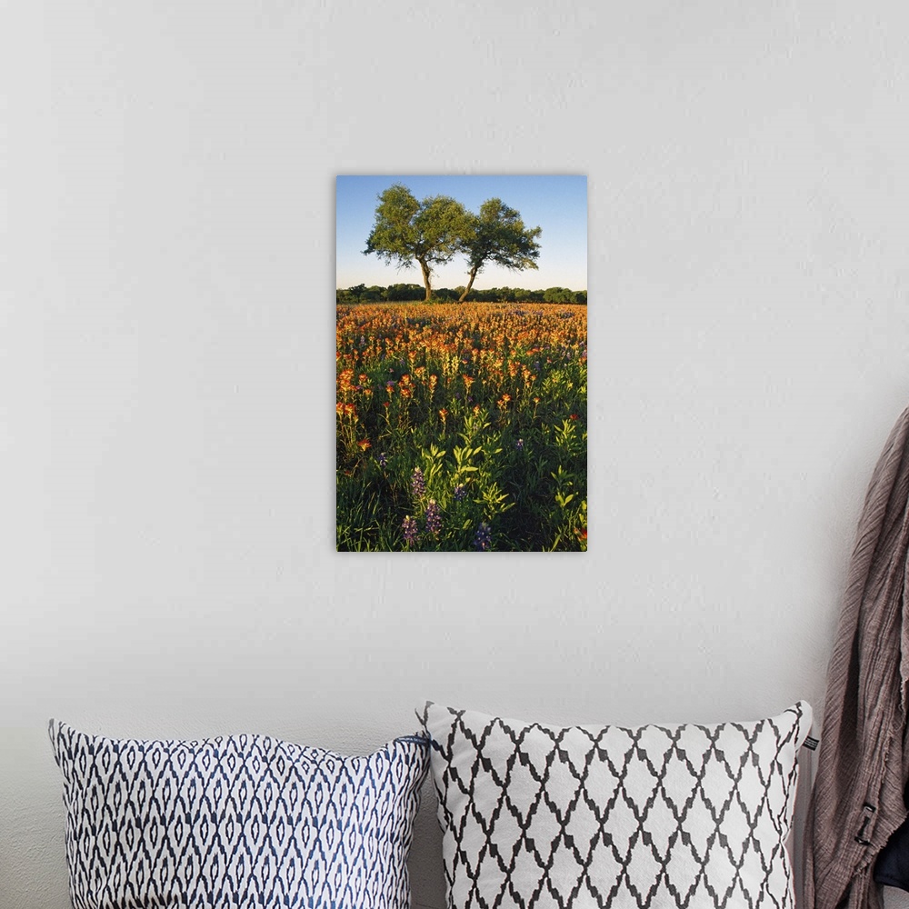 A bohemian room featuring Portrait photograph on a big canvas of a field of wildflowers in the sun, two large trees stand t...
