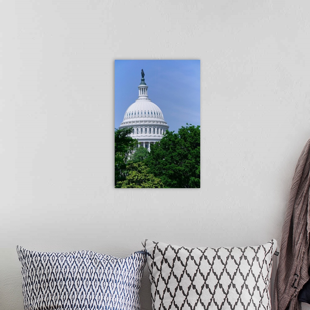 A bohemian room featuring Trees in spring and U.S. Capitol Dome with Statue of Freedom statue overlooking Washington D.C.