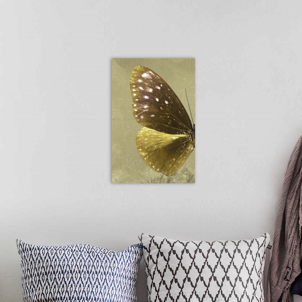 A bohemian room featuring Half of a butterfly on a gold sparkly background.