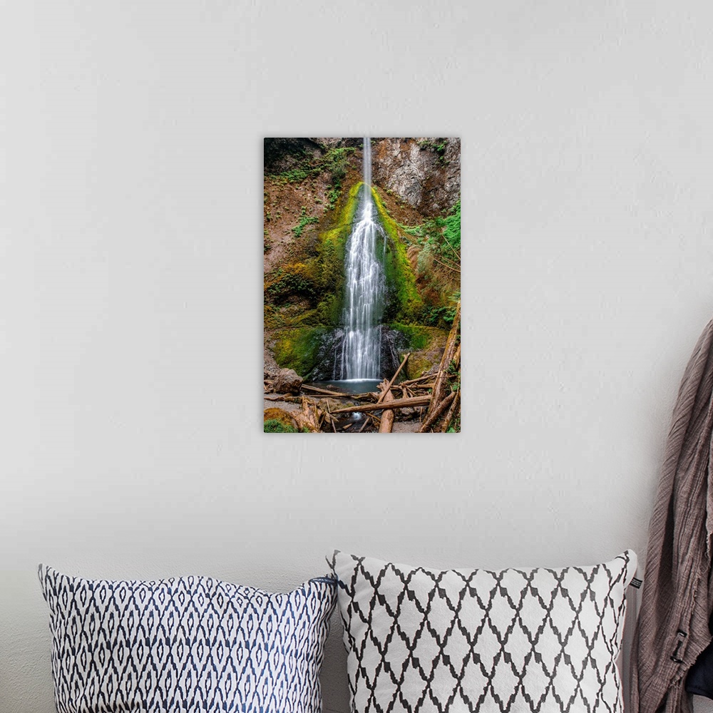 A bohemian room featuring View of Marymere Falls in Olympic National Park, Washington.