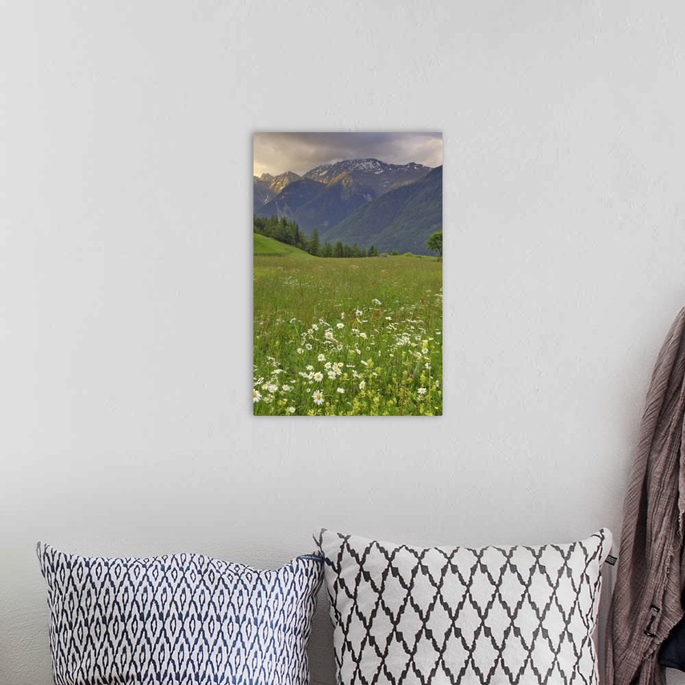 A bohemian room featuring Alpine meadow, near Kofels, Umhausen, Otztal valley, Tyrol, Austria
