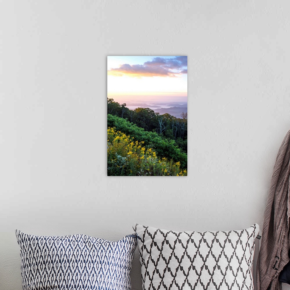 A bohemian room featuring Golden rods and sunrise over the Blue Ridge Mountains, North Carolina, United States of America, ...
