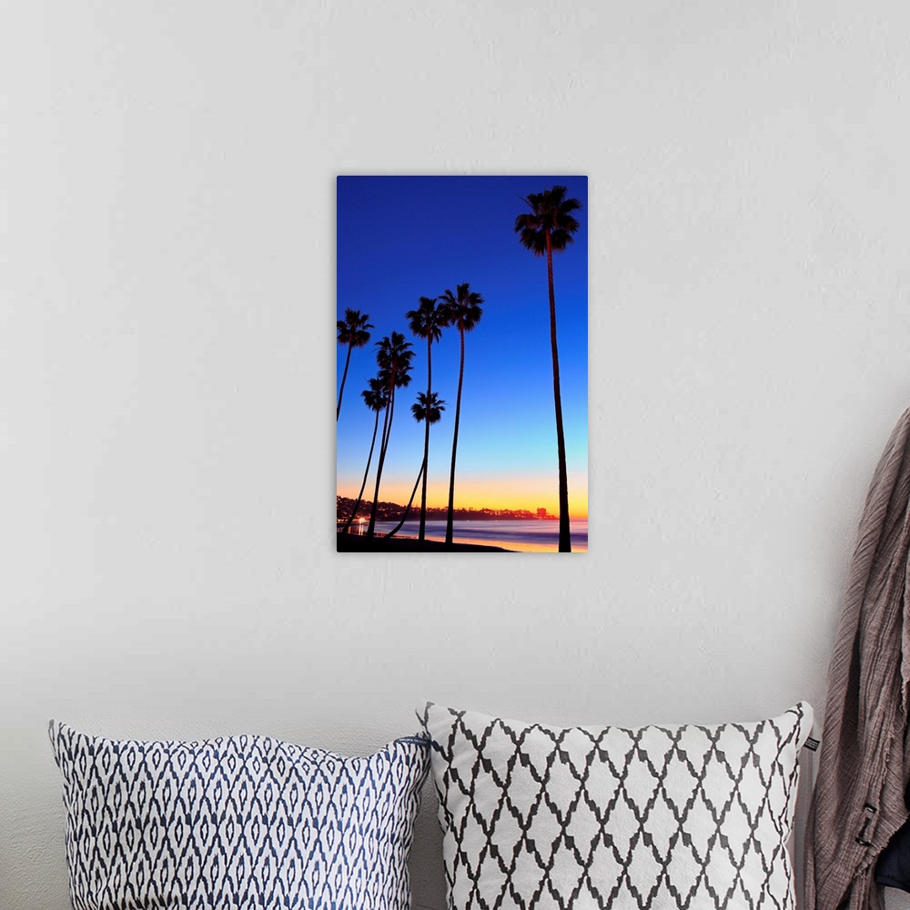 Palm trees, La Jolla Shores Beach, La Jolla, San Diego, California Wall ...