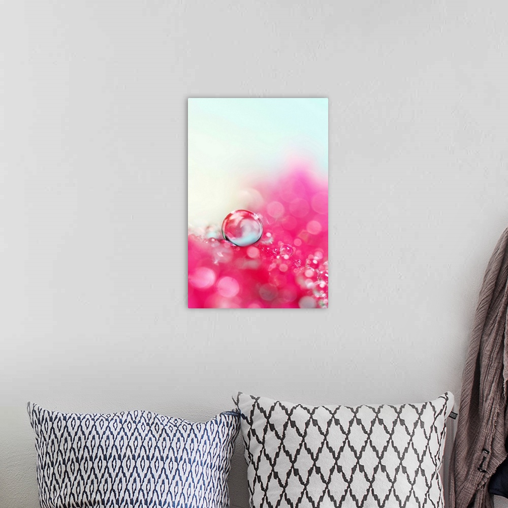 A bohemian room featuring Water drops on a pretty pink flower petal