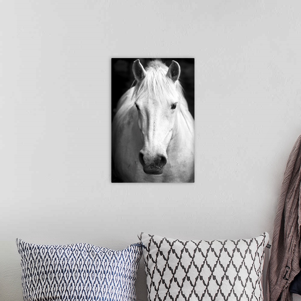 A bohemian room featuring White horse's black and white art portrait