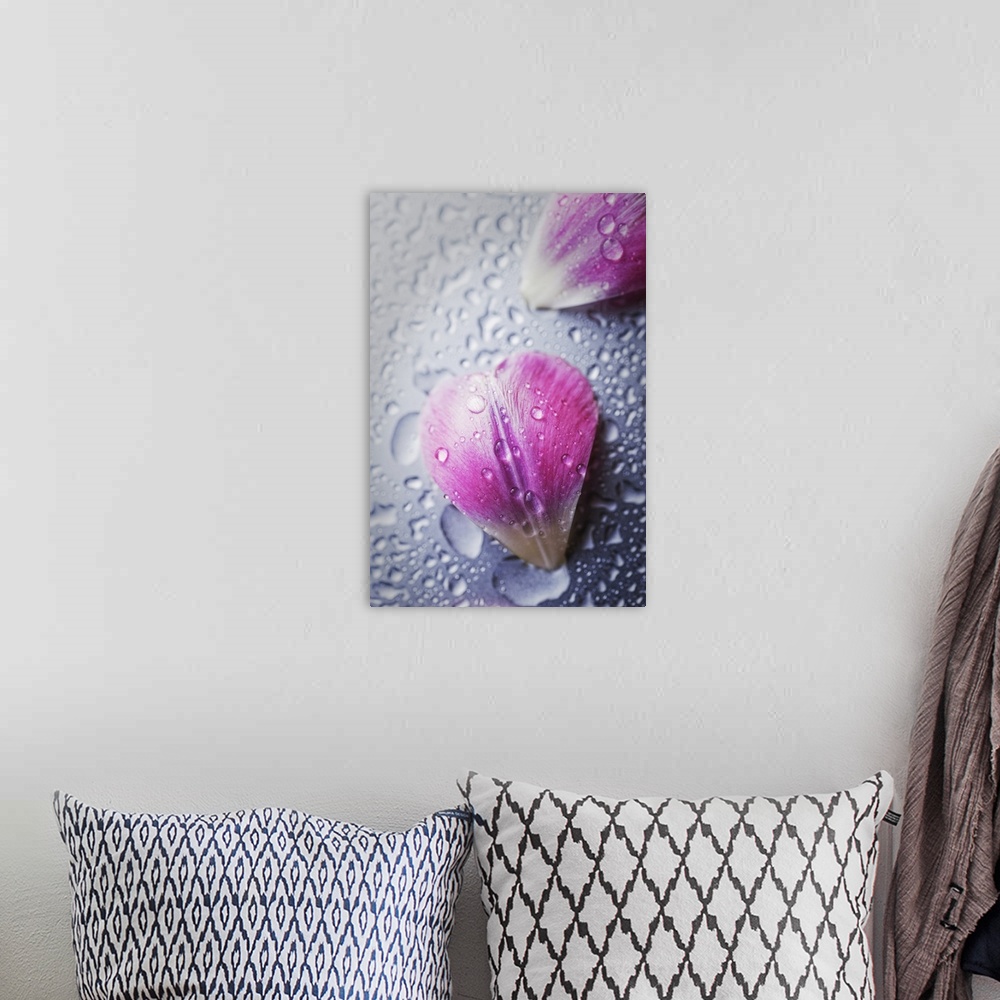 A bohemian room featuring Close up of water droplets on small flower petals.