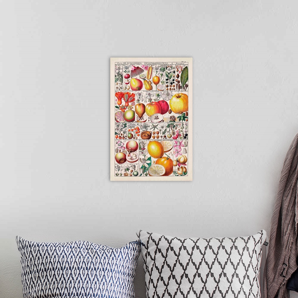 A bohemian room featuring Fruit Chart