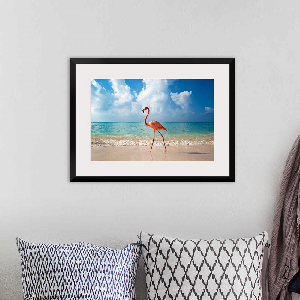 A bohemian room featuring Flamingo Walking Along Beach