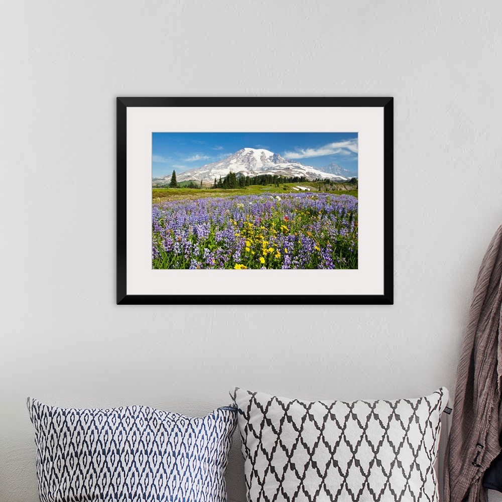 A bohemian room featuring Wildflowers In Paradise Park, Mount Rainier National Park, Washington