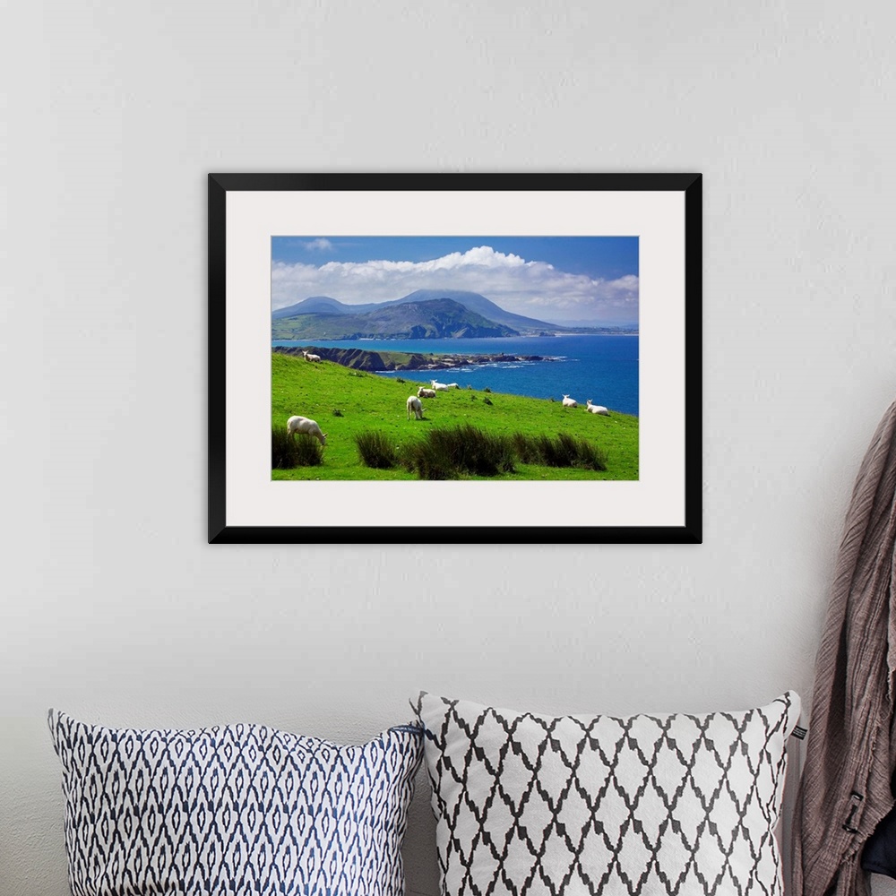 A bohemian room featuring Ireland, Donegal, Inishowen Peninsula, landscape near Pollan Bay