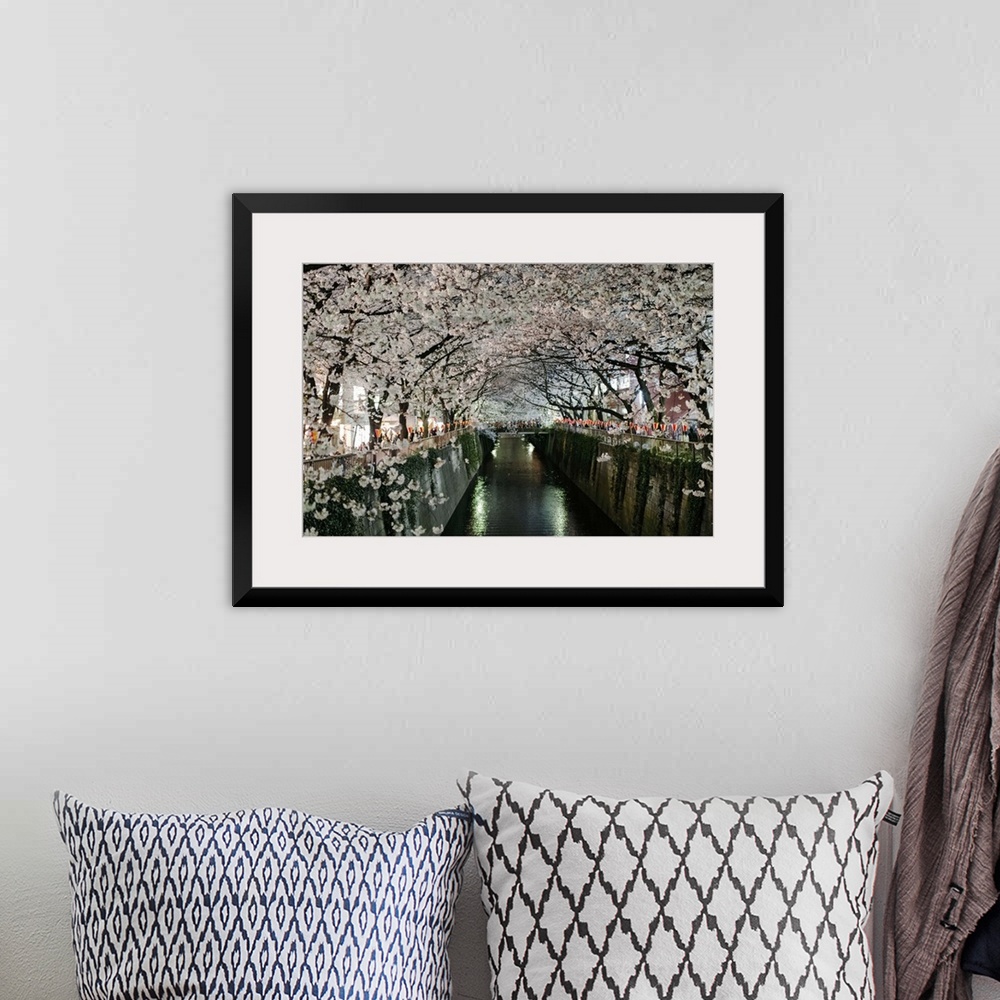 A bohemian room featuring Rows of cherry blossoms in full bloom line the meguro river in Tokyo, Japan on a bright evening i...