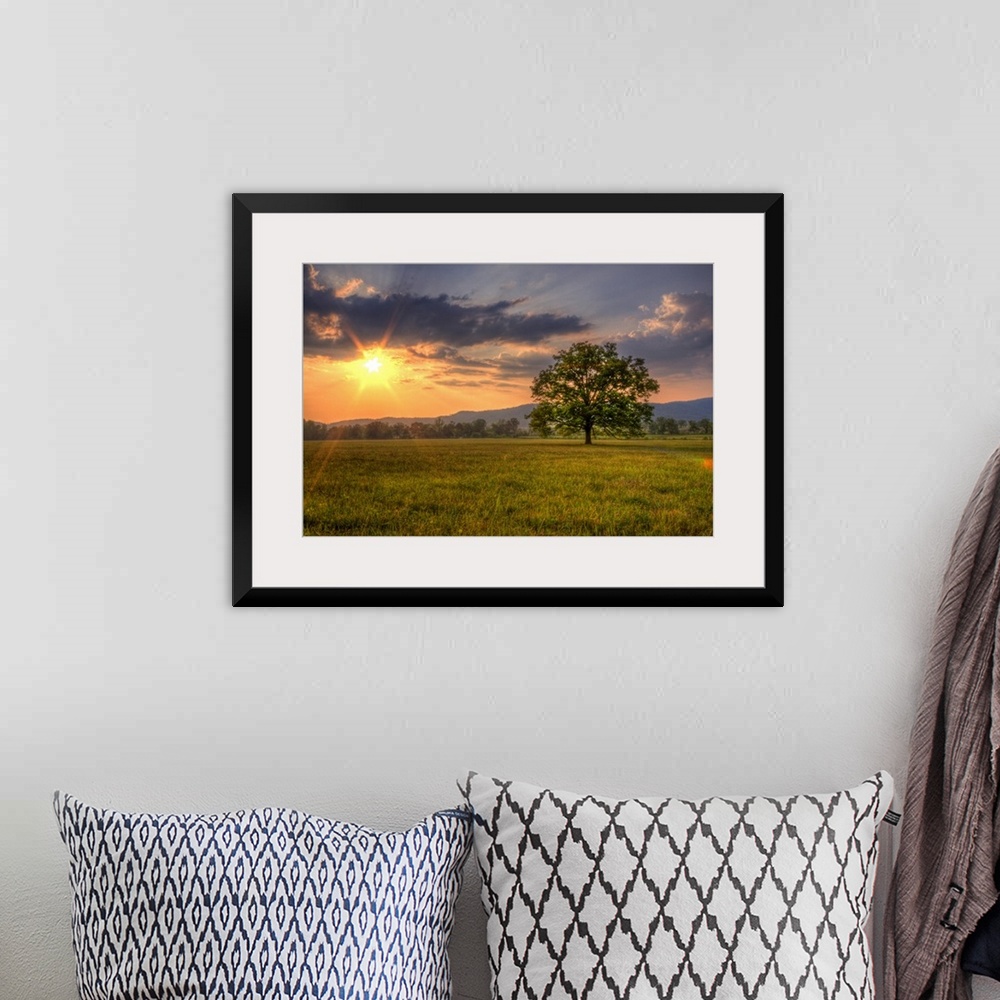 A bohemian room featuring Oversized, landscape photograph of a bright sunset over a vast field, with a single tree in the f...