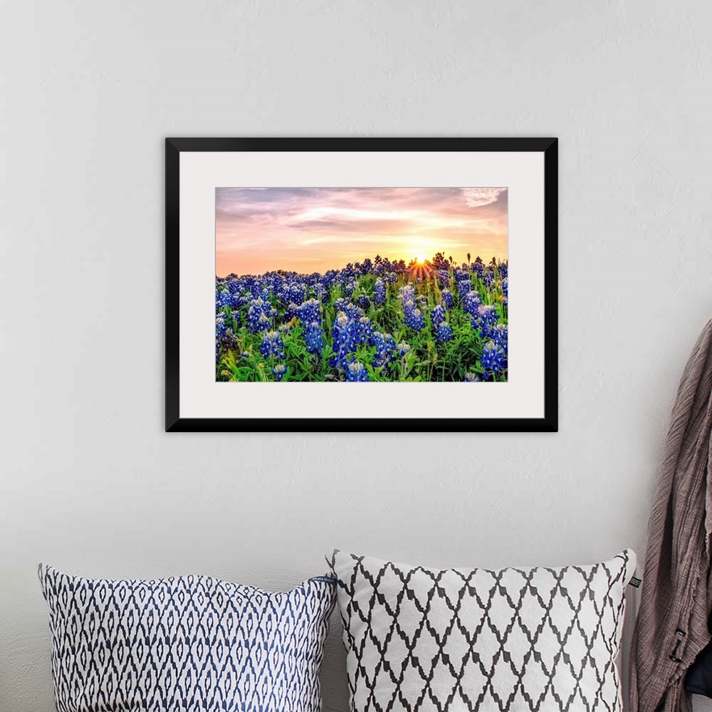 A bohemian room featuring Texas Bluebonnets at Sunset.