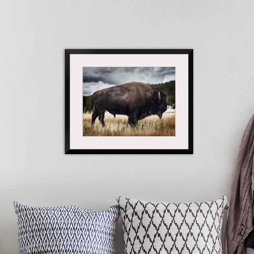 A bohemian room featuring Yellowstone Bison