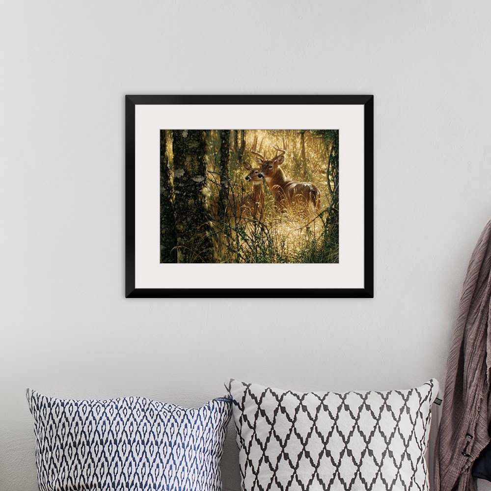 A bohemian room featuring Whitetail Deer - A Golden Moment - Horizontal