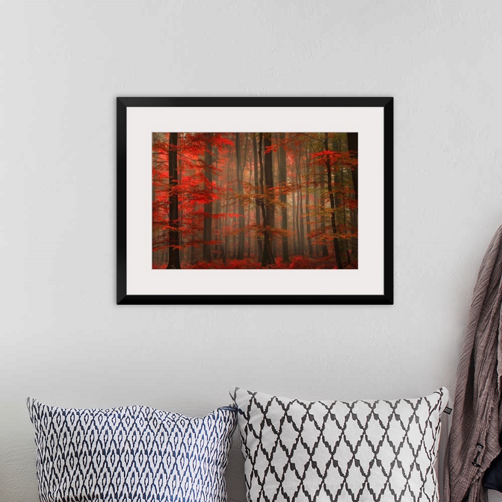 A bohemian room featuring A landscape photograph of a forest full of autumn leaves and misty fog.