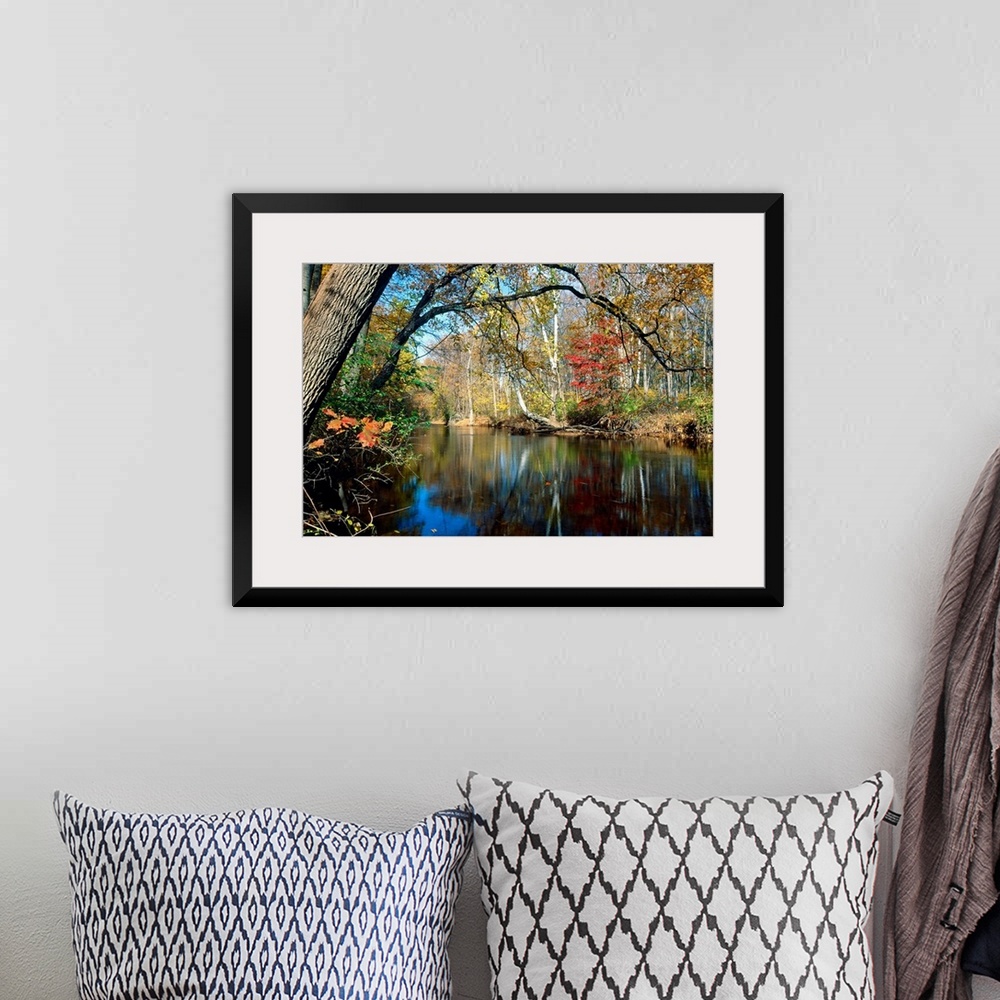 A bohemian room featuring This landscape photograph is the Lamington River flowing through a forest in New Jersey in late a...