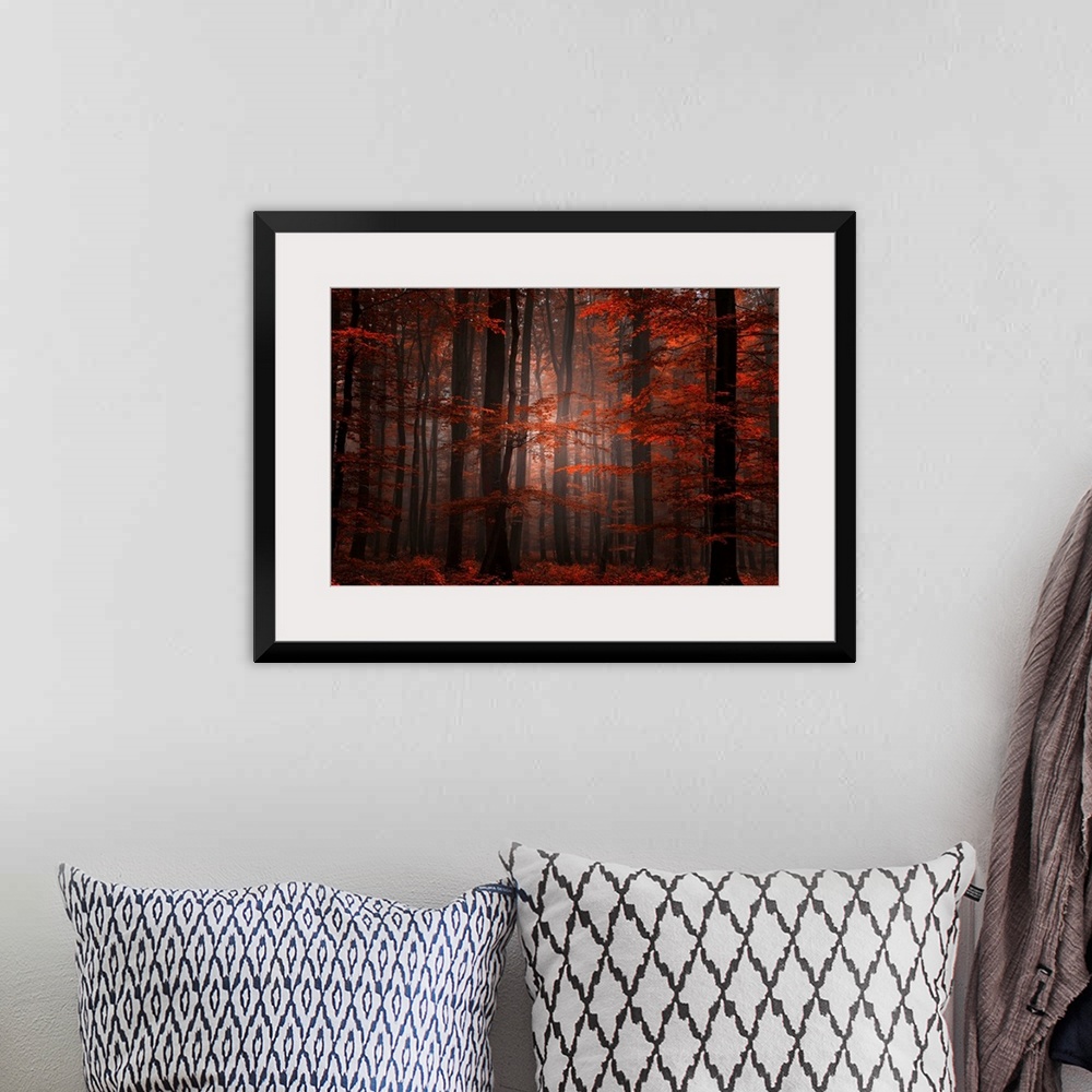A bohemian room featuring Ethereal landscape photograph of trees in a forest at autumn.