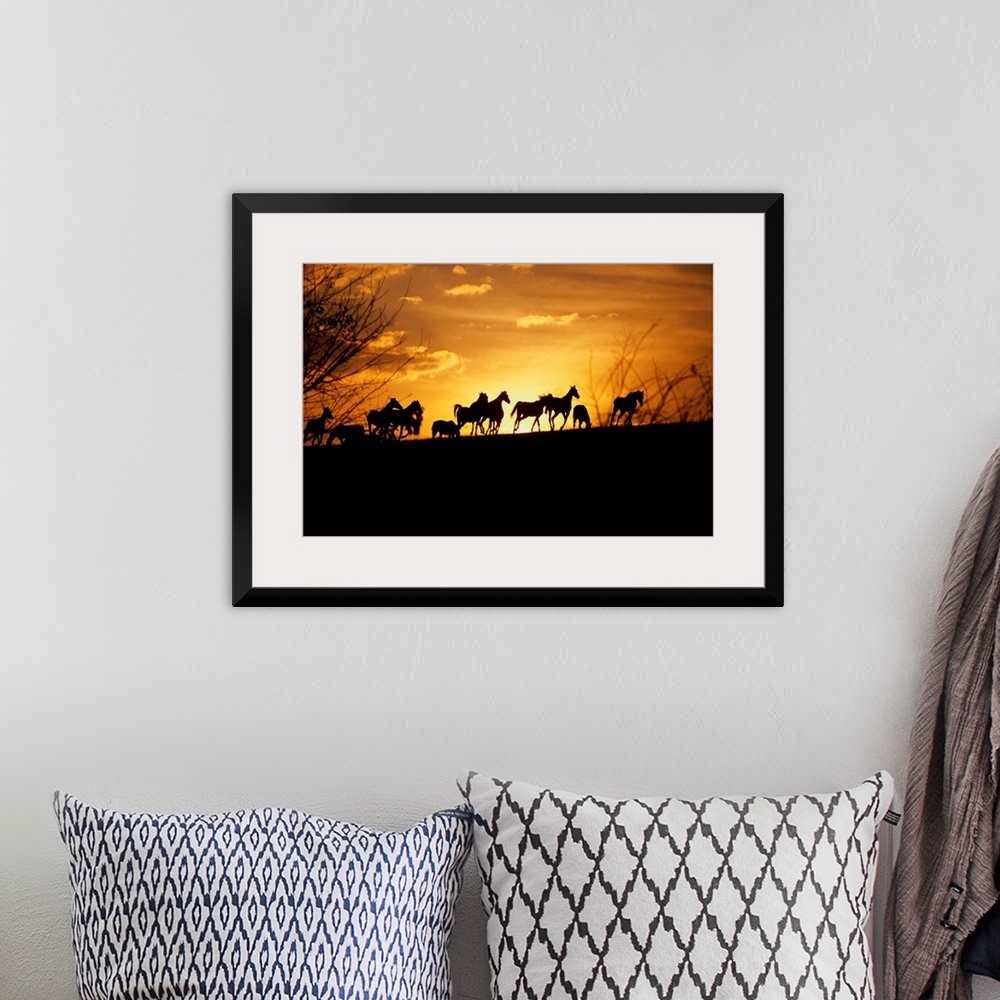A bohemian room featuring Large wall art of the silhouettes of horses running contrasted against a warm sunset.