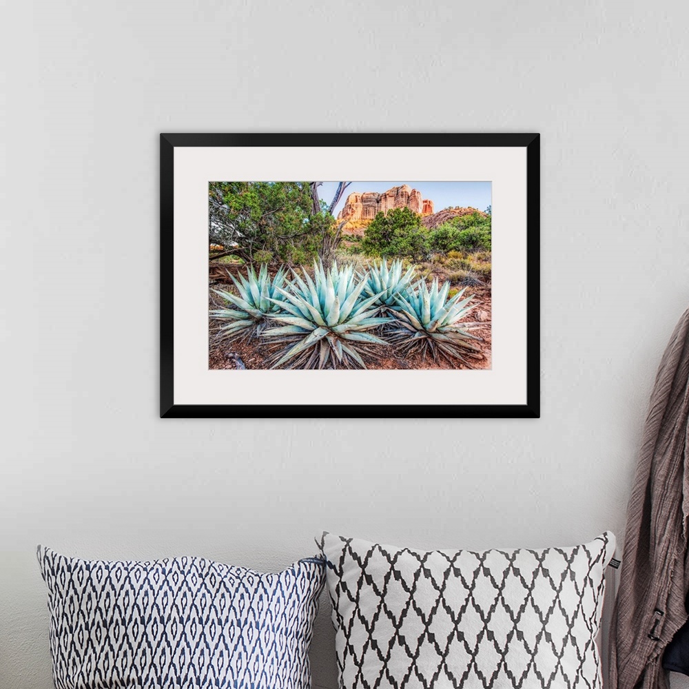 A bohemian room featuring Landscape photograph of Agave plants in Sedona, AZ with Cathedral Rock in the background.