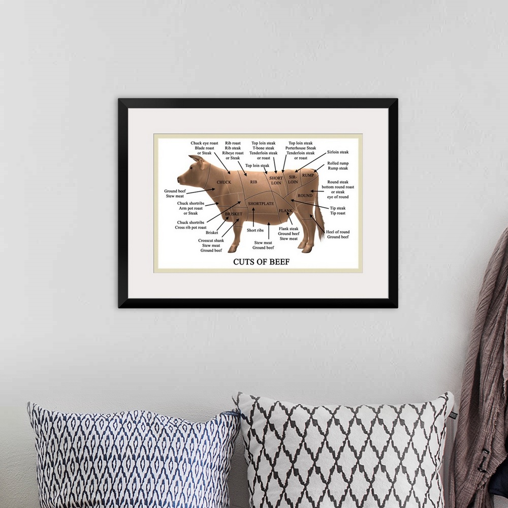 A bohemian room featuring Cuts of beef. Computer artwork illustrating primal and subprimal cuts of beef and their names. Pr...