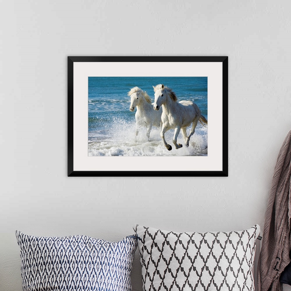 A bohemian room featuring Giant photograph of two Camargue horses galloping along the edge of the ocean on a beach in South...