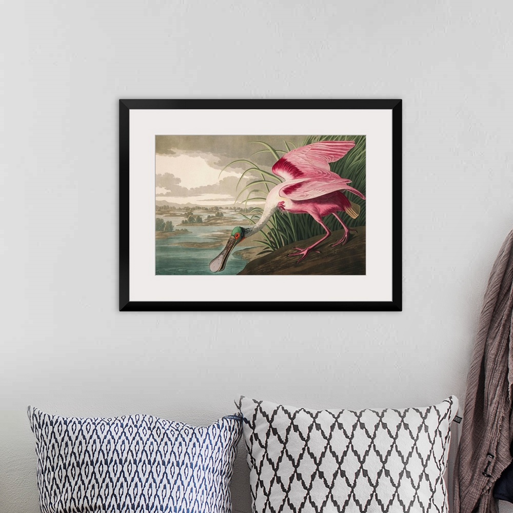 A bohemian room featuring Roseate Spoonbill