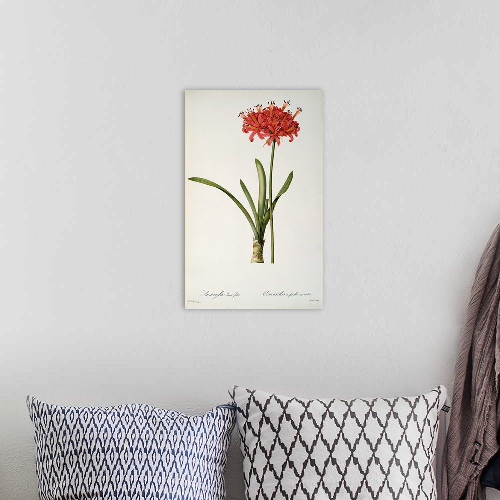 A bohemian room featuring Vertical painting on canvas of a brightly colored flower on a neutral backdrop.
