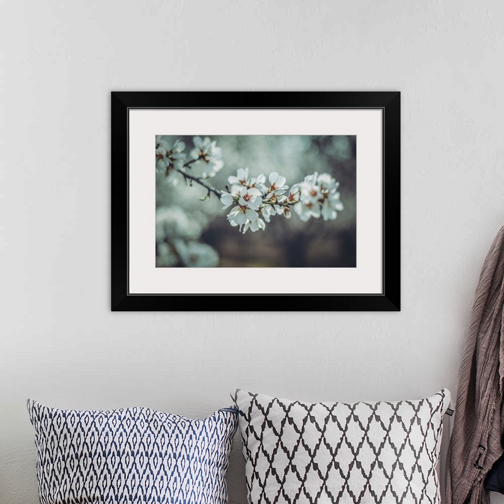 A bohemian room featuring Almond Blossoms