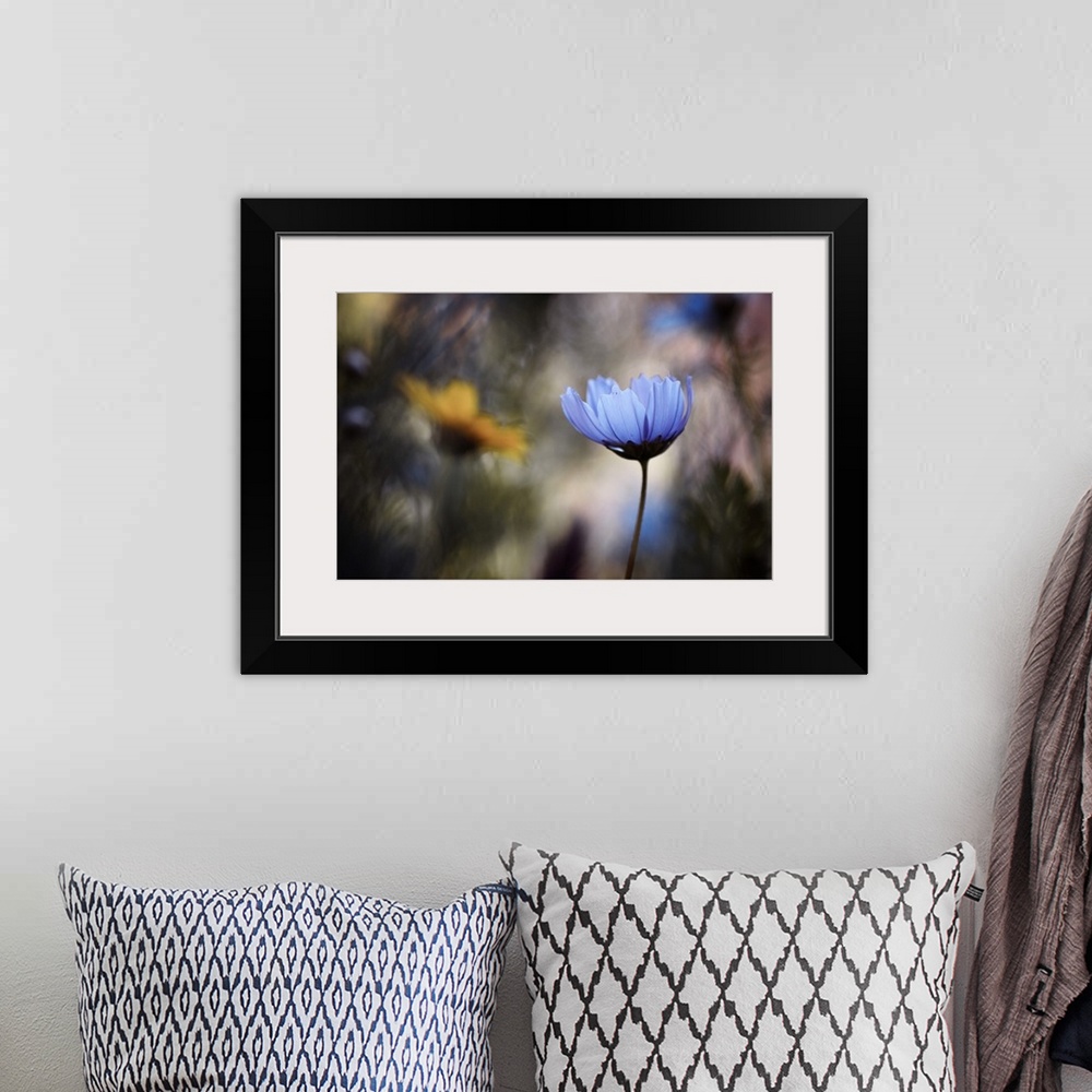 A bohemian room featuring A vibrant photograph of a blue flower against a blurred background.