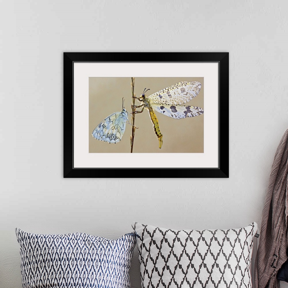 A bohemian room featuring A large dragonfly and a butterfly on opposite sides of a stem.